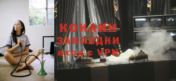 стаф Аркадак