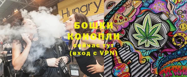 стаф Аркадак