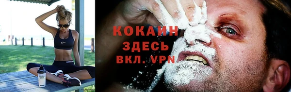 стаф Аркадак
