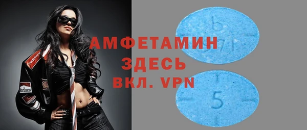 стаф Аркадак