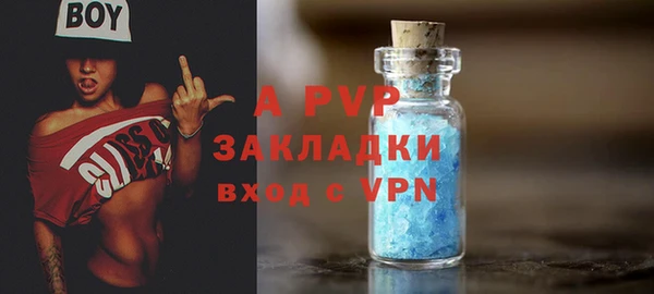 стаф Аркадак